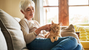 woman enjoying one of the best companion pets for seniors, a cat, on the couch