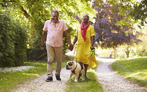 walking is a gentle outdoor activity for seniors and their pets